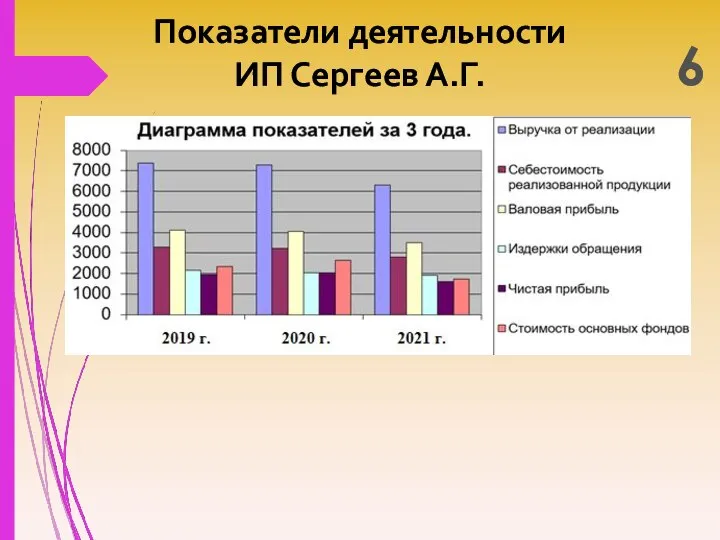 Показатели деятельности ИП Сергеев А.Г. 6