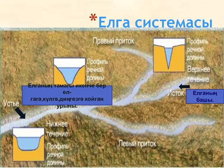 Елга системасы Елганың тамагы икенче бер ел- гага,күлгә,диңгезгә койган урыны. Елганың башы.