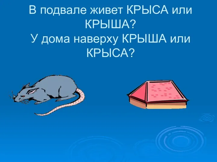 В подвале живет КРЫСА или КРЫША? У дома наверху КРЫША или КРЫСА?