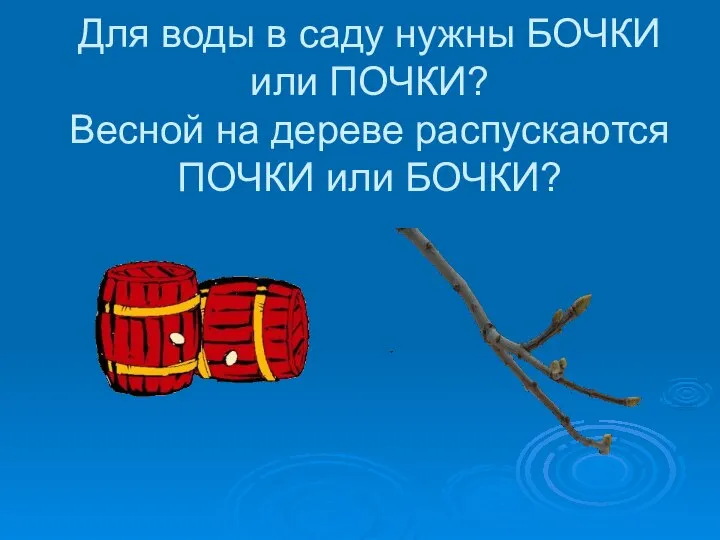 Для воды в саду нужны БОЧКИ или ПОЧКИ? Весной на дереве распускаются ПОЧКИ или БОЧКИ?