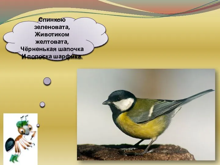 Спинкою зеленовата, Животиком желтовата, Чёрненькая шапочка И полоска шарфика.