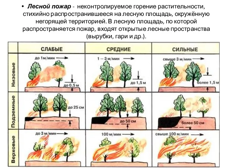 Лесной пожар - неконтролируемое горение растительности, стихийно распространившееся на лесную площадь,