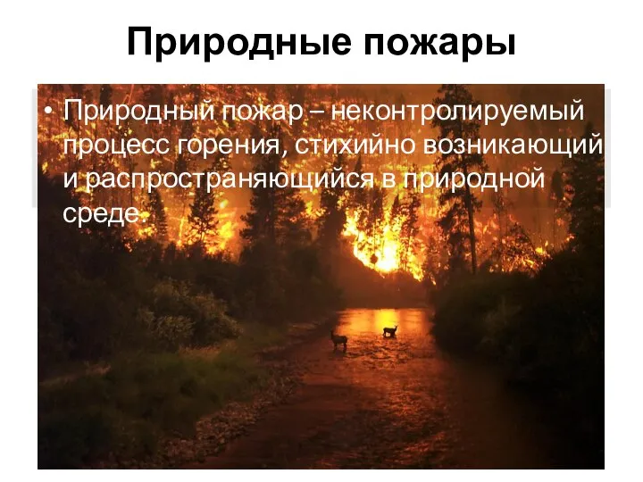 Природные пожары Природный пожар – неконтролируемый процесс горения, стихийно возникающий и распространяющийся в природной среде.