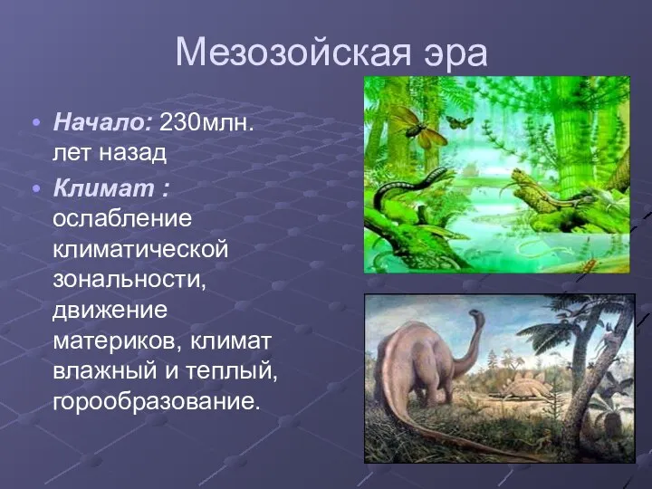 Мезозойская эра Начало: 230млн. лет назад Климат : ослабление климатической зональности,