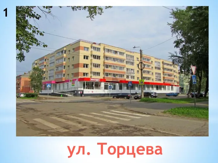 1 ул. Торцева