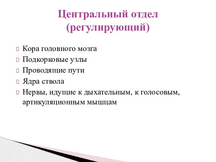 Кора головного мозга Подкорковые узлы Проводящие пути Ядра ствола Нервы, идущие