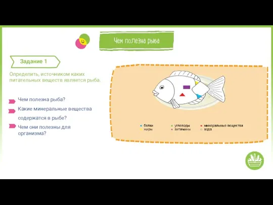 Чем полезна рыба? Какие минеральные вещества содержатся в рыбе? Чем они полезны для организма?