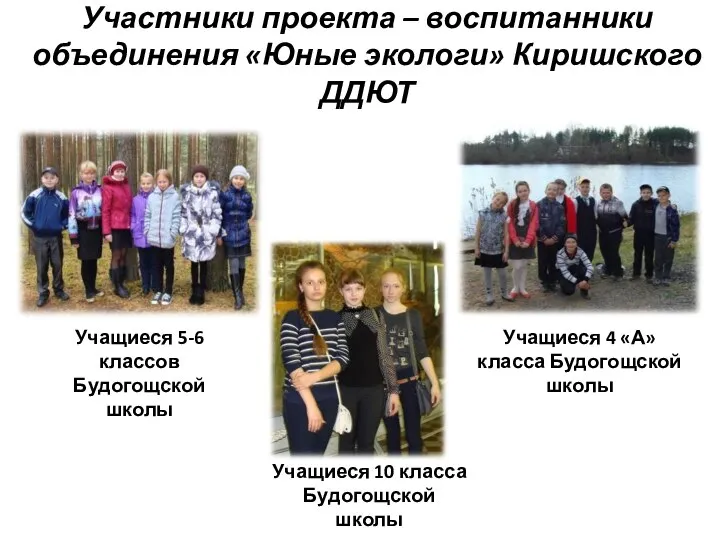 Участники проекта – воспитанники объединения «Юные экологи» Киришского ДДЮТ Учащиеся 5-6