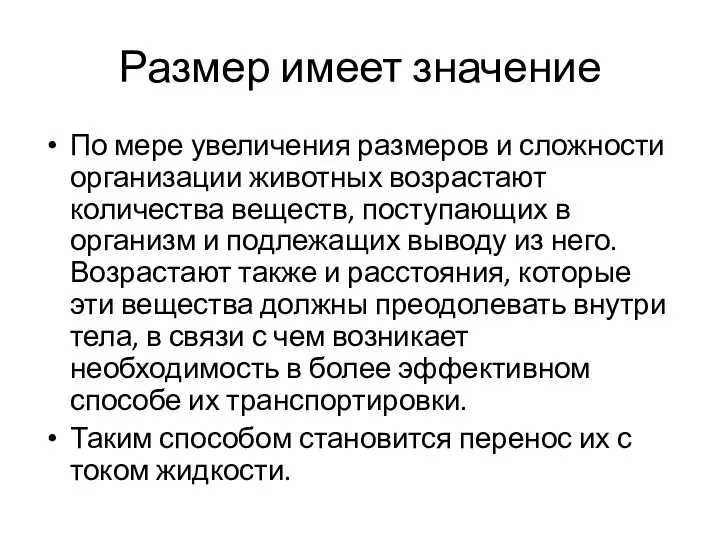 Размер имеет значение По мере увеличения размеров и сложности организации животных