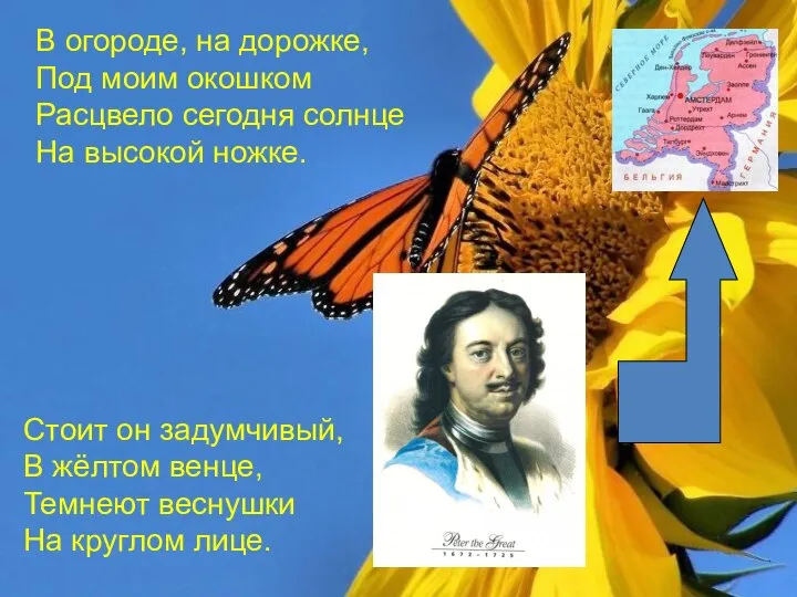 Стоит он задумчивый, В жёлтом венце, Темнеют веснушки На круглом лице.