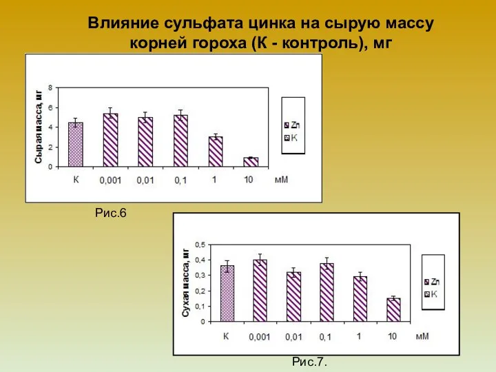 Влияние сульфата цинка на сырую массу корней гороха (К - контроль), мг Рис.6 Рис.7.