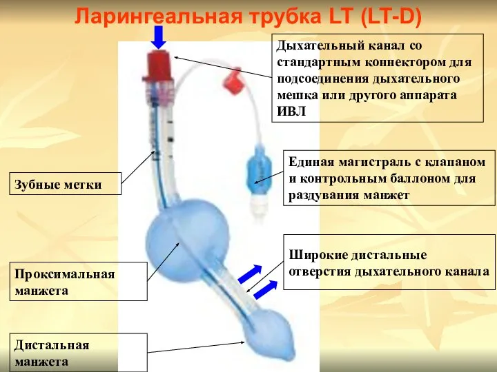 Дыхательный канал со стандартным коннектором для подсоединения дыхательного мешка или другого