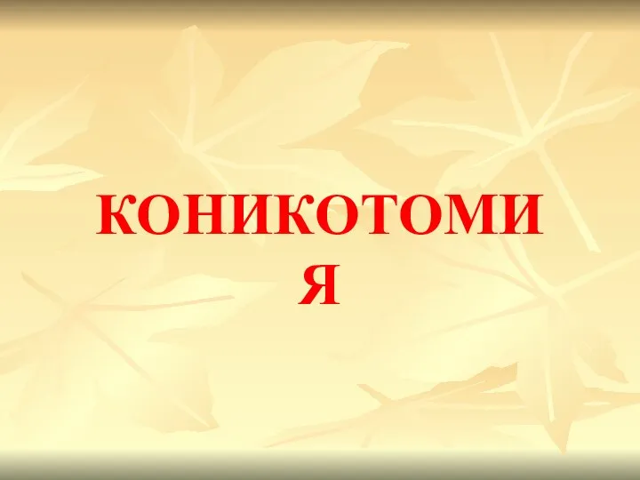 КОНИКОТОМИЯ