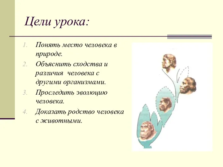 Цели урока: Понять место человека в природе. Объяснить сходства и различия