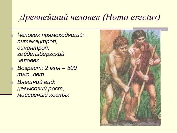 Древнейший человек (Homo erectus) Человек прямоходящий: питекантроп, синантроп, гейдельбергский человек Возраст: