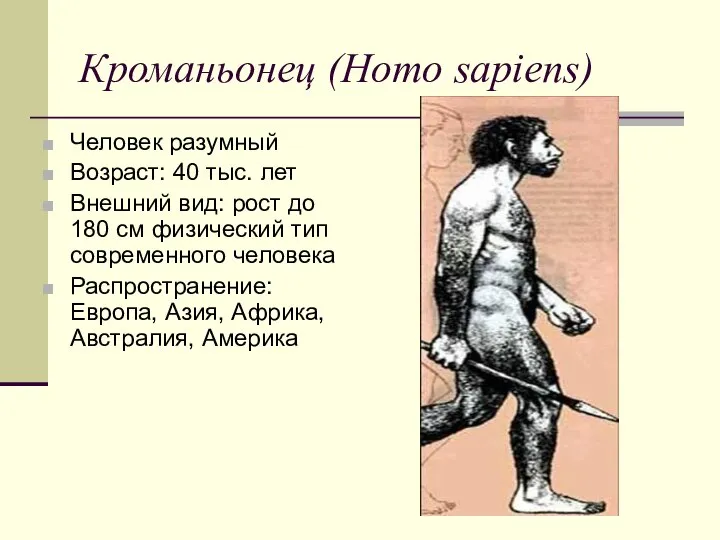 Кроманьонец (Homo sapiens) Человек разумный Возраст: 40 тыс. лет Внешний вид: