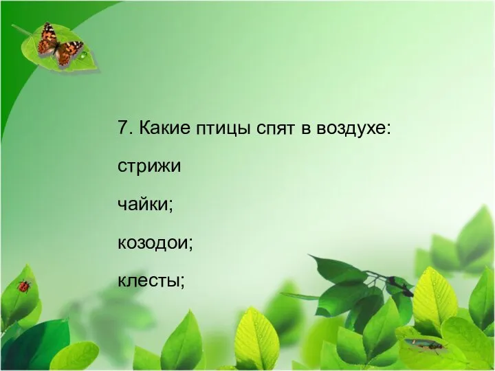 7. Какие птицы спят в воздухе: стрижи чайки; козодои; клесты;