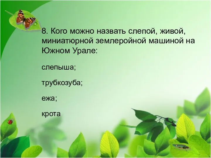 8. Кого можно назвать слепой, живой, миниатюрной землеройной машиной на Южном Урале: слепыша; трубкозуба; ежа; крота