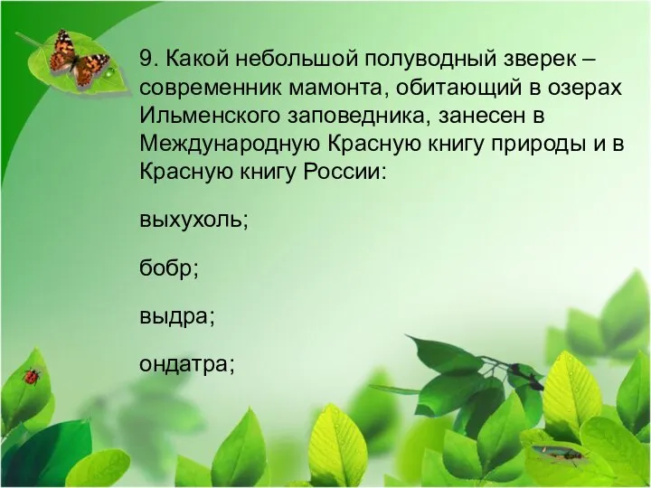 9. Какой небольшой полуводный зверек – современник мамонта, обитающий в озерах