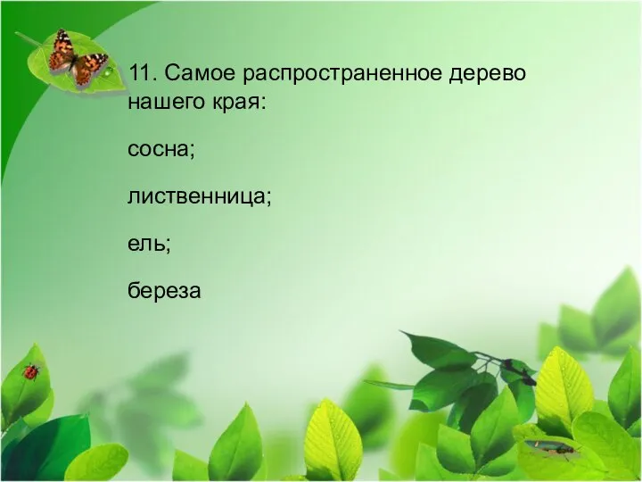 11. Самое распространенное дерево нашего края: сосна; лиственница; ель; береза