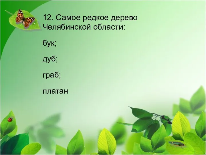 12. Самое редкое дерево Челябинской области: бук; дуб; граб; платан