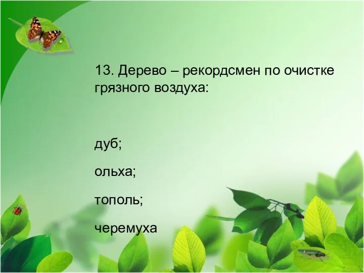 13. Дерево – рекордсмен по очистке грязного воздуха: дуб; ольха; тополь; черемуха