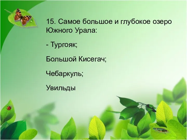 15. Самое большое и глубокое озеро Южного Урала: - Тургояк; Большой Кисегач; Чебаркуль; Увильды