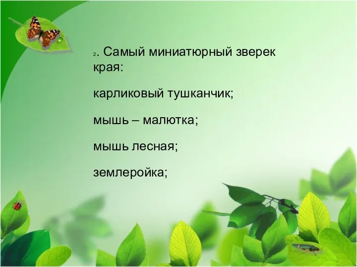 2. Самый миниатюрный зверек края: карликовый тушканчик; мышь – малютка; мышь лесная; землеройка;