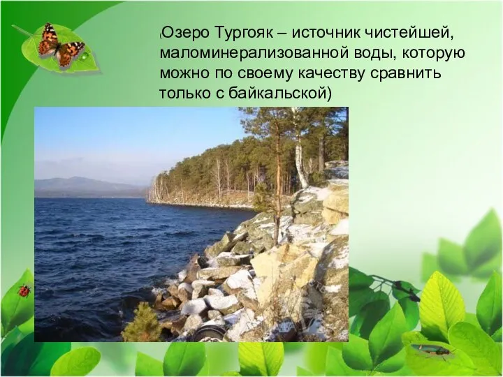 (Озеро Тургояк – источник чистейшей, маломинерализованной воды, которую можно по своему качеству сравнить только с байкальской)