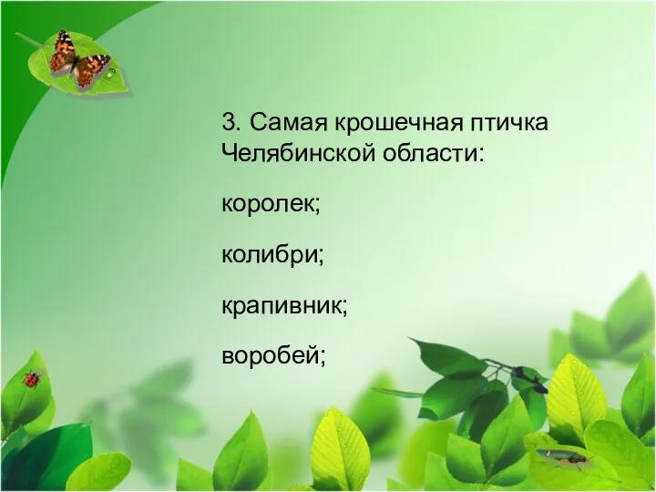 3. Самая крошечная птичка Челябинской области: королек; колибри; крапивник; воробей;