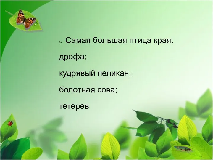 4. Самая большая птица края: дрофа; кудрявый пеликан; болотная сова; тетерев