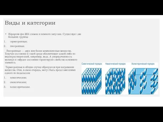 Виды и категории Иерархия фаз ЖК сложна и немного запутана. Существует