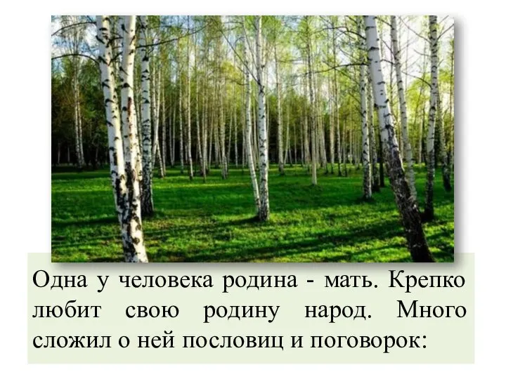 Одна у человека родина - мать. Крепко любит свою родину народ.