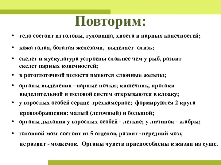 Повторим: тело состоит из головы, туловища, хвоста и парных конечностей; кожа