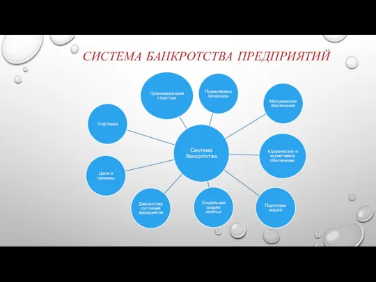 СИСТЕМА БАНКРОТСТВА ПРЕДПРИЯТИЙ