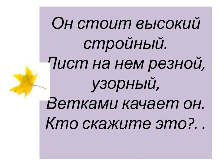 Он стоит высокий стройный. Лист на нем резной, узорный, Ветками качает он. Кто скажите это?. .