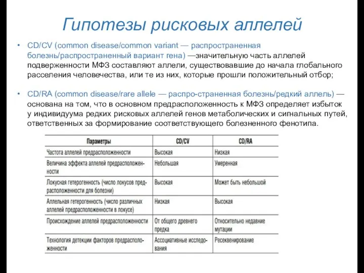 Гипотезы рисковых аллелей CD/CV (common disease/common variant — распространенная болезнь/распространенный вариант