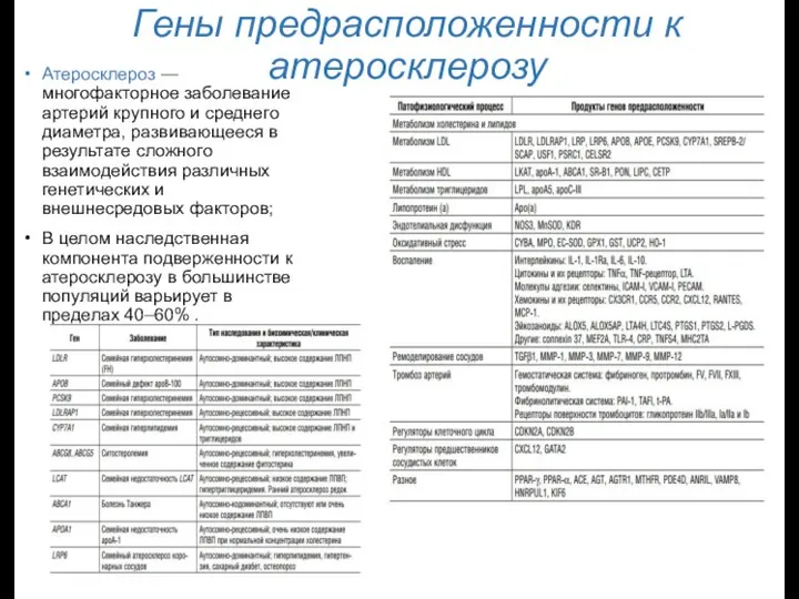 Гены предрасположенности к атеросклерозу Атеросклероз — многофакторное заболевание артерий крупного и