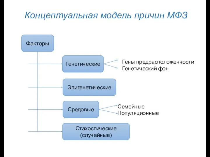 Концептуальная модель причин МФЗ Факторы Генетические Эпигенетические Средовые Стахостические (случайные) Гены предрасположенности Генетический фон Семейные Популяционные