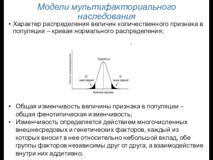 Модели мультифакториального наследования Характер распределения величин количественного признака в популяции –