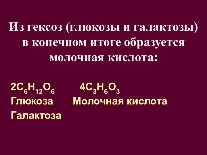 Из гексоз (глюкозы и галактозы) в конечном итоге образуется молочная кислота: