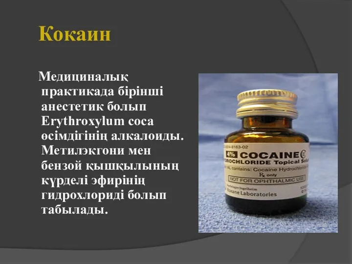 Кокаин Медициналық практикада бірінші анестетик болып Erythroxylum coca өсімдігінің алкалоиды. Метилэкгони