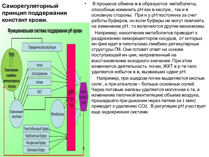 Саморегуляторный принцип поддержания констант крови. В процессе обмена в-в образуются метаболиты,
