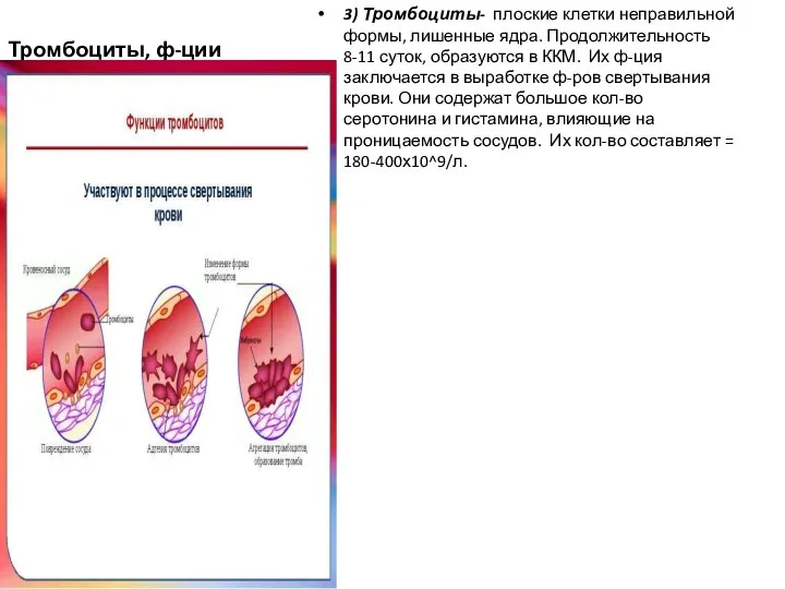 Тромбоциты, ф-ции 3) Тромбоциты- плоские клетки неправильной формы, лишенные ядра. Продолжительность