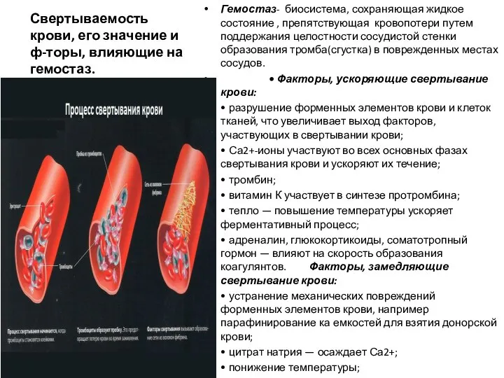 Свертываемость крови, его значение и ф-торы, влияющие на гемостаз. Гемостаз- биосистема,