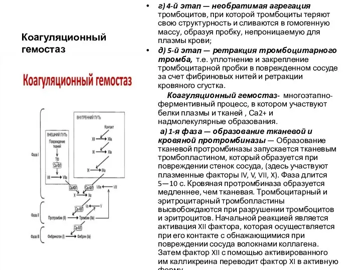 Коагуляционный гемостаз г) 4-й этап — необратимая агрегация тромбоцитов, при которой