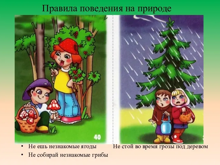 Правила поведения на природе Не ешь незнакомые ягоды Не стой во