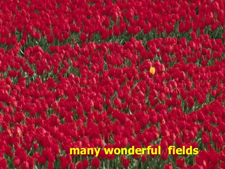 Наглядность вносит ясность. many wonderful fields