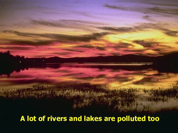 A lot of rivers and lakes are polluted too
