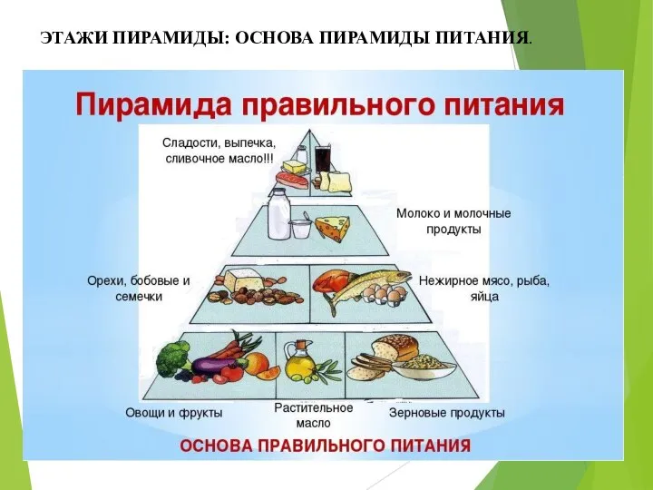 ЭТАЖИ ПИРАМИДЫ: ОСНОВА ПИРАМИДЫ ПИТАНИЯ.